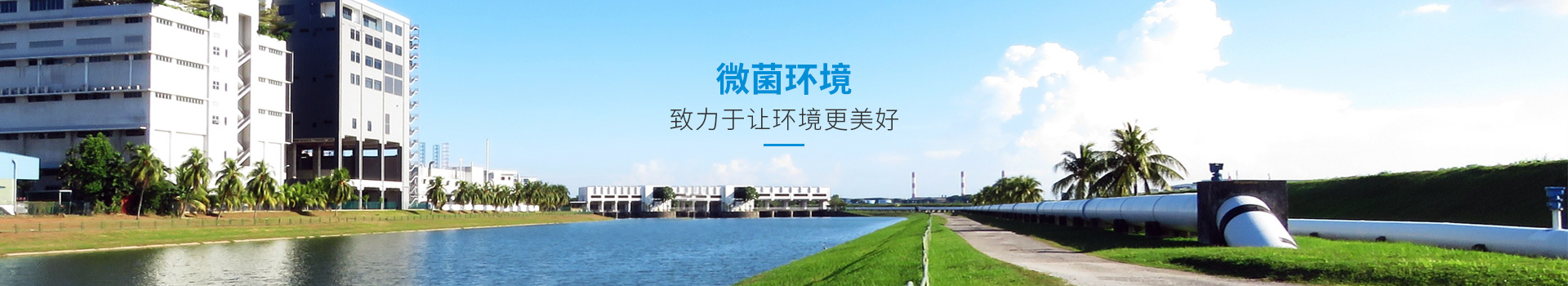 攜手微菌，守護(hù)綠色家園