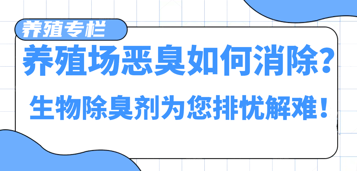 養(yǎng)殖場惡臭如何消除？生物除臭劑為您排憂解難！